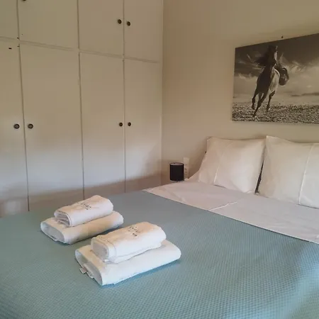 Apartment Nomo *